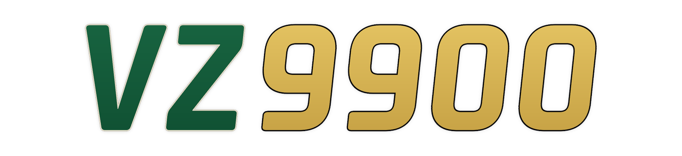 vz9900 Logo